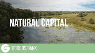 What Is Natural Capital?