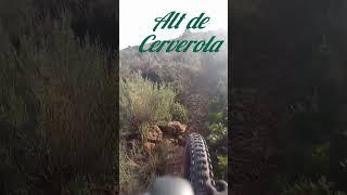 All Mountain de ruta por Cerverola
