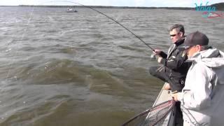 Спиннинг Fox Rage Terminator Shad Jigger Rapid 240 см 20-60