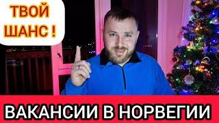 ️ Работа в Норвегии / Это Ваш Шанс