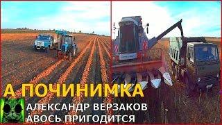 Началось в колхозе утро 2/114. Уборки подсолнечника и лука.