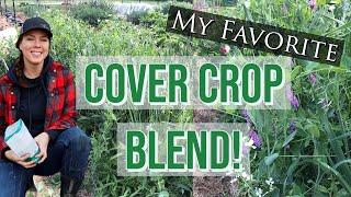 The Best Cool Season Cover Crop Blend!