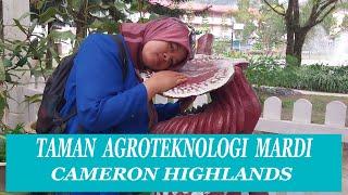 Agroteknologi Mardi Cameron Highlands.