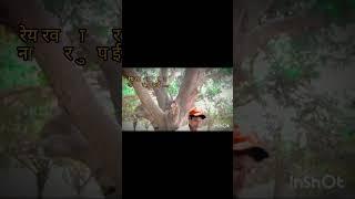 sath bachapan re kabo Na chhut pai short video md shamsher alam 09