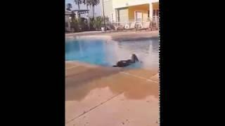 Hi gyes it's Zaira it's my first time on YouTube this video is of me swimming