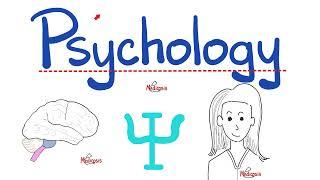 Psychology Introduction - Biology of Behavior - The Nervous System