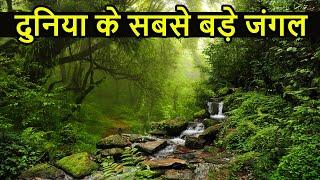 दुनिया के सबसे बड़े जंगल | Top 10 Largest and DANGEROUS Forest in World