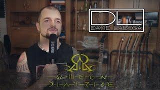 DL David Laboga Cables Metal Series by Gergő Hájer of OMEGA DIATRIBE