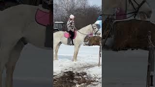 Счастливый старый конь)