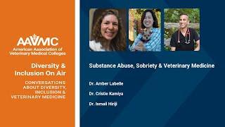 Diversity & Inclusion on Air: Substance Abuse & Recovery