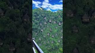 nature videos 154