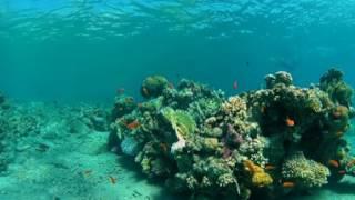 Sydney Water 360 Virtual Reality Video