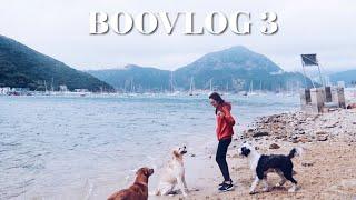 BooVLOG #3 | 美麗的香港, 狗狗去海邊, 跟我打包行李