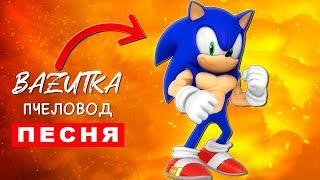 Песня Клип СОНИК КАЧОК Rasa ПЧЕЛОВОД ПАРОДИЯ Про соника Sonic Анимация