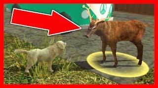 СИМУЛЯТОР СОБАКИ #3 СКОРО БУДЕТ ЩЕНОК в Dog Sim