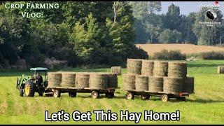 Take Her Home:  Dry Alfalfa Hay, Finally!