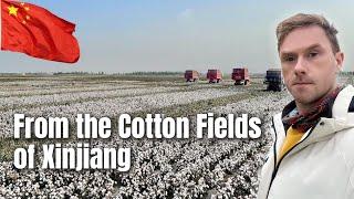 Cotton from Xinjiang Province, China...