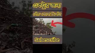 আর একটু হোলে ছিপ পুকুরে #short_video #vriel_video