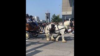 Calgary Stampede Parade , Fri, Jul 7, 2023卡尔加里牛仔节