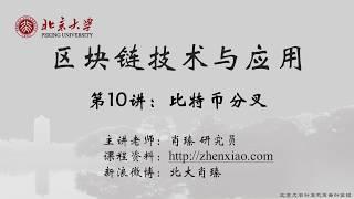 10 BTC 分叉