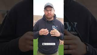 Living Water | SNWA's $5 / Per Sq Ft Rebate!