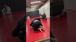 42 year old Bjj black belt v 30 year old national brown belt champ. #bjj #old guy #blackbelt #gi