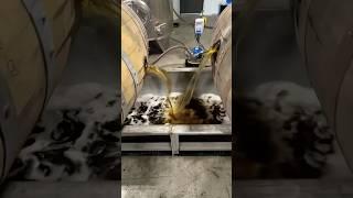Distillery visit by whisky Musafir #shorts #whiskey #cocktail