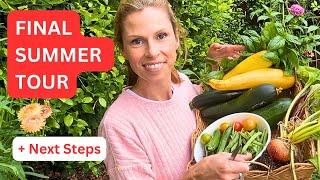 This week in my Melbourne Garden  Harvest, Tour + Seedling Update