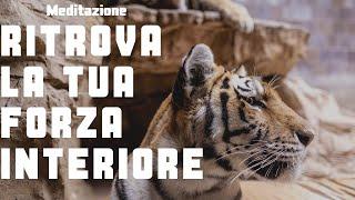 Ritrova la Tua Forza Interiore - Meditazione