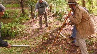 Cuban Crocodile Capture Pt 1! Kamp Kenan S3 Episode 23