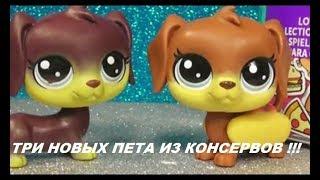 LPS: Новые  консервы с петами