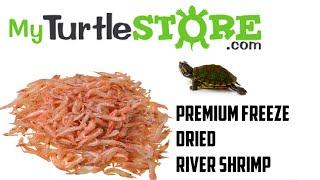 Premium Freeze Dried River Shrimp From MyTurtleStore.com Product Review