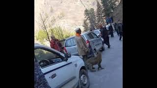 Leopard Playing with humans in Kullu | #Shorts #TirthanValley #GHNP #kullu