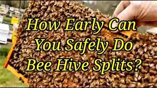 How Early Can You Safely Do Bee Hive Splits?