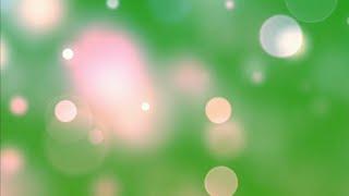 Bokeh green screen background animation effect video HD | chroma key effect