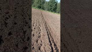 мотор сич сделал дело...