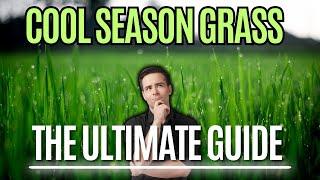 Cool Season Grass: The ULTIMATE GUIDE #diylawncare