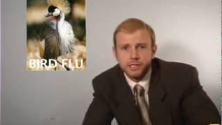 Joy To the World - Bird Flu