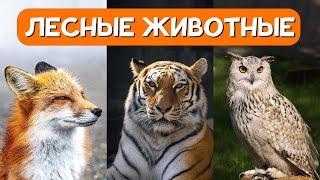 Лесные Животные для Детей + Учим Животных +Как говорят Животные + Звуки и Голоса Животных