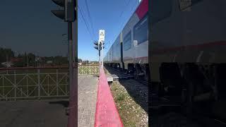 ЭС2ГП | Ласточка | Щёкино #tula #поезд #ласточка #ржд #железнаядорога #train #music #travel