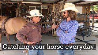 Catching Your Horse - Everyday Horsemanship Tips with guest Dale Brisby