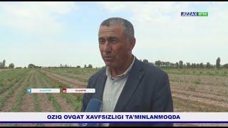 Yangiobodda oziq-ovqat xavfsizligini taminlash yo'lidagi ishlar