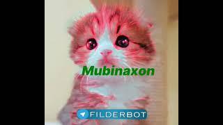 mubinaxon