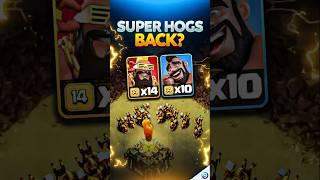 SUPER HOGS have RETURNED! TH17 CoC