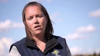 Alberta Agriculture Weed Scouting