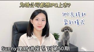 为啥公司都想上市？｜IPO上市流程和盈利模式