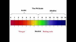 Water Quality in Steam Heating Systems