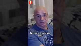 БОДИБИЛДИНГ. Триггеры в мышцах – ГДЕ? #shorts #натуральный #бодибилдинг #культуризм #фитнес #спорт