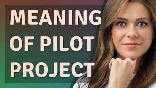 Pilot project | meaning of Pilot project