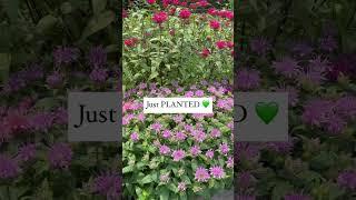 Forget Perfect Gardens… Just Do THIS!